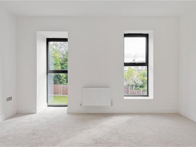 Picture 24
